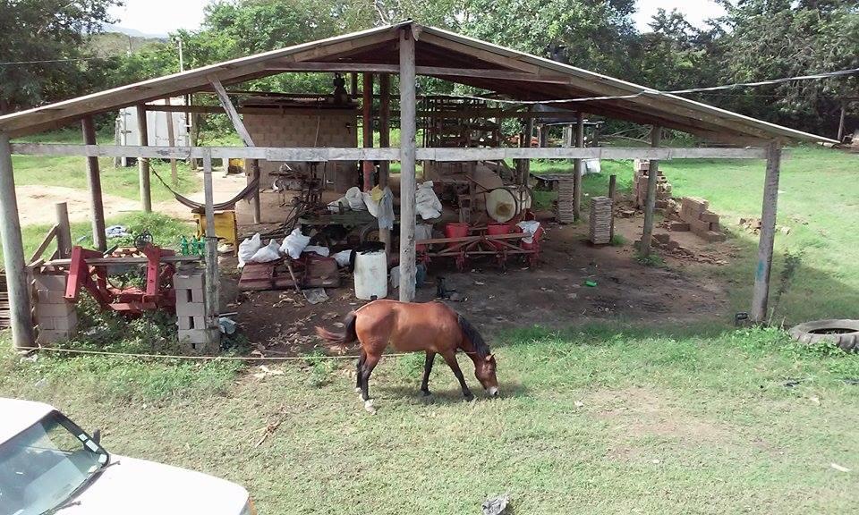 Don Santiago Guesthouse Downtown San Ignacio Dış mekan fotoğraf