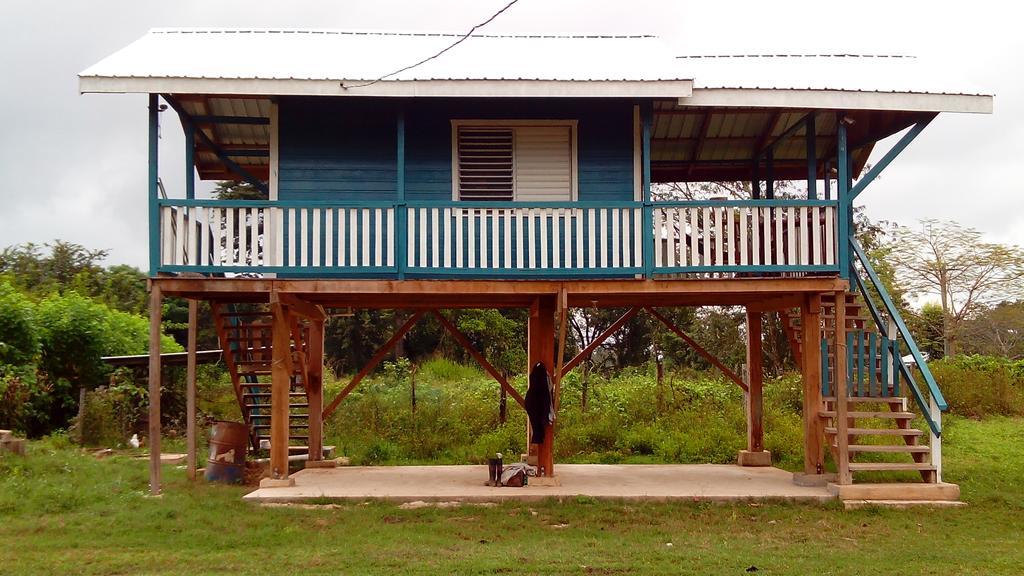 Don Santiago Guesthouse Downtown San Ignacio Dış mekan fotoğraf