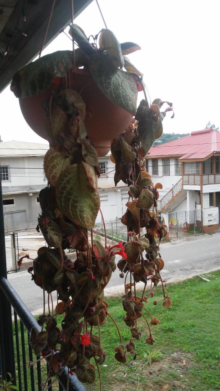 Don Santiago Guesthouse Downtown San Ignacio Dış mekan fotoğraf